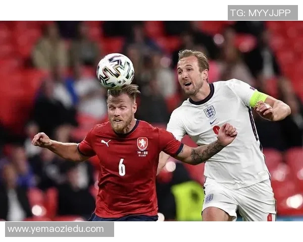 2020欧洲杯赛程与赛果全解析精彩回顾与未来展望